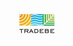 CDL Class A Drivers Wanted - Stoughton, MA - HAZMAT & TANK ENDORSEMENT